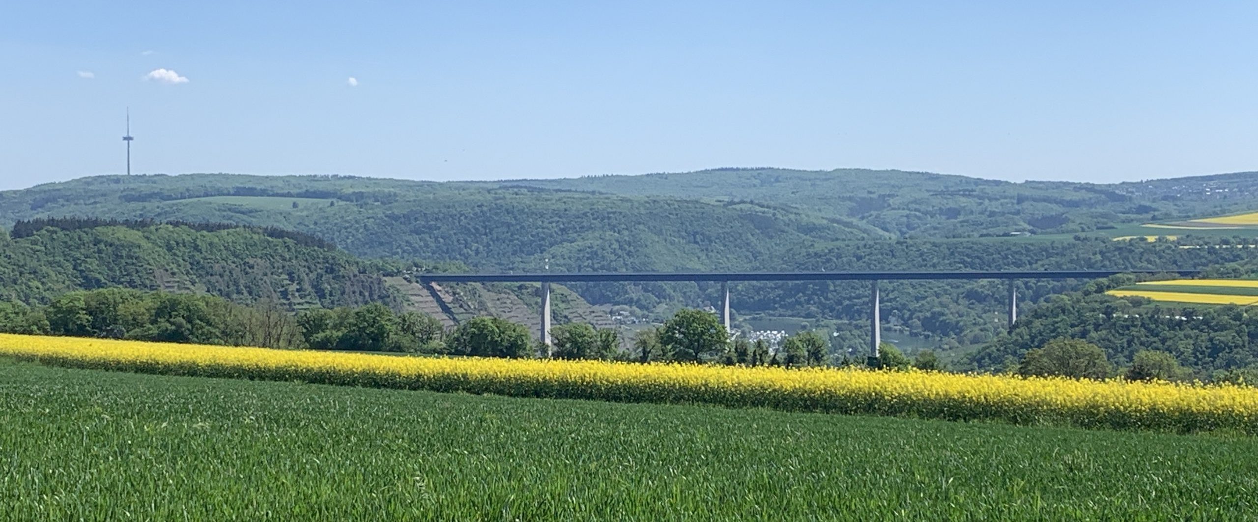 Am 1. Mai über das Maifeld zur Mosel