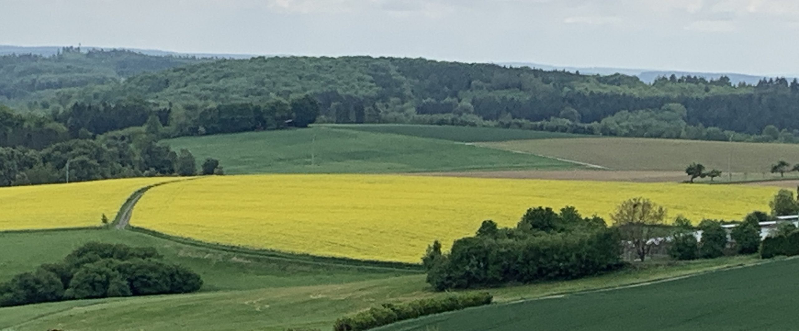 Rund um Iserkopf und Brandenberg