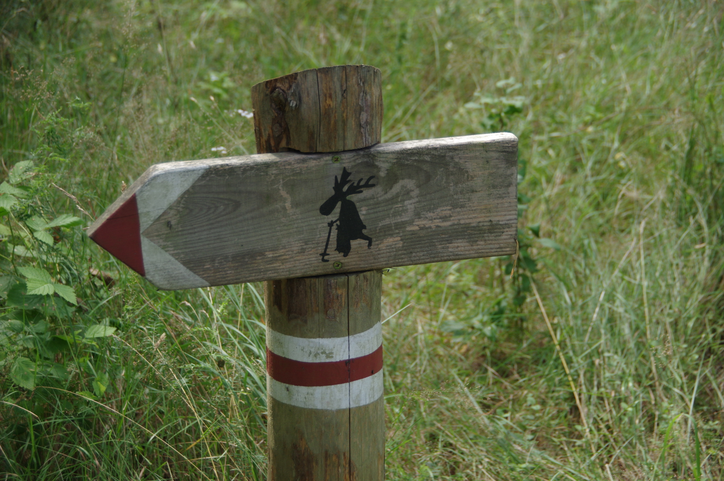 Ostseestrand und Dünenwald