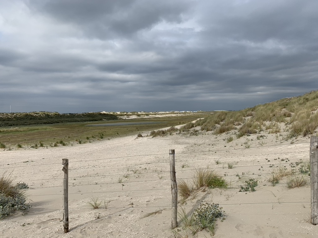 Tag 8 – Hoek van Holland / s‘Gravenzande